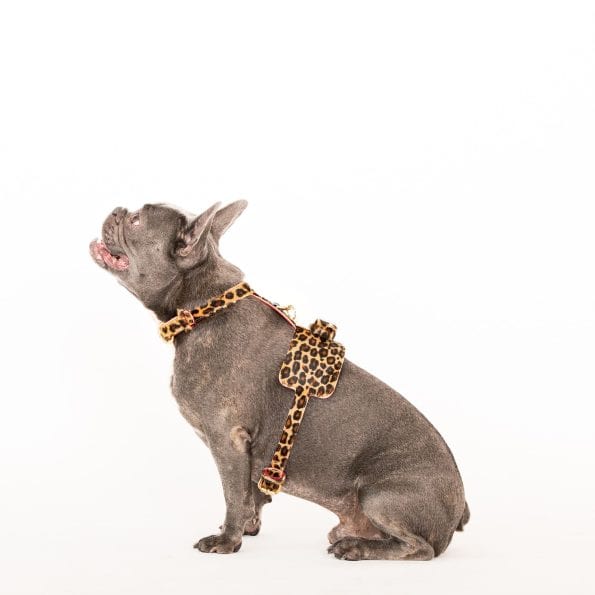 LEO LEATHER HARNESS-9