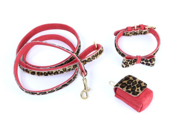 LEO LEATHER LEASH-2