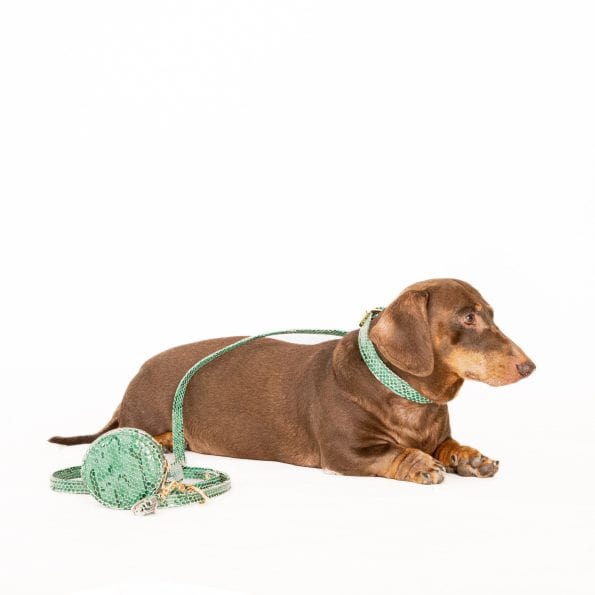 LUSH LEATHER COLLAR-5
