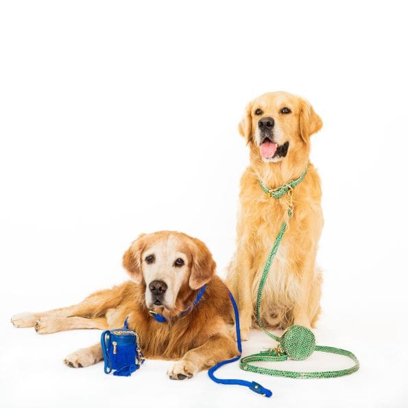 LUSH LEATHER LEASH-3