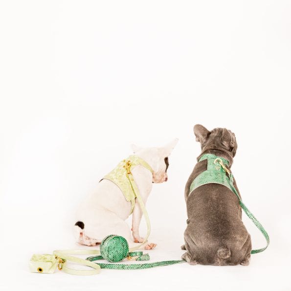 LUSH LEATHER LEASH-4