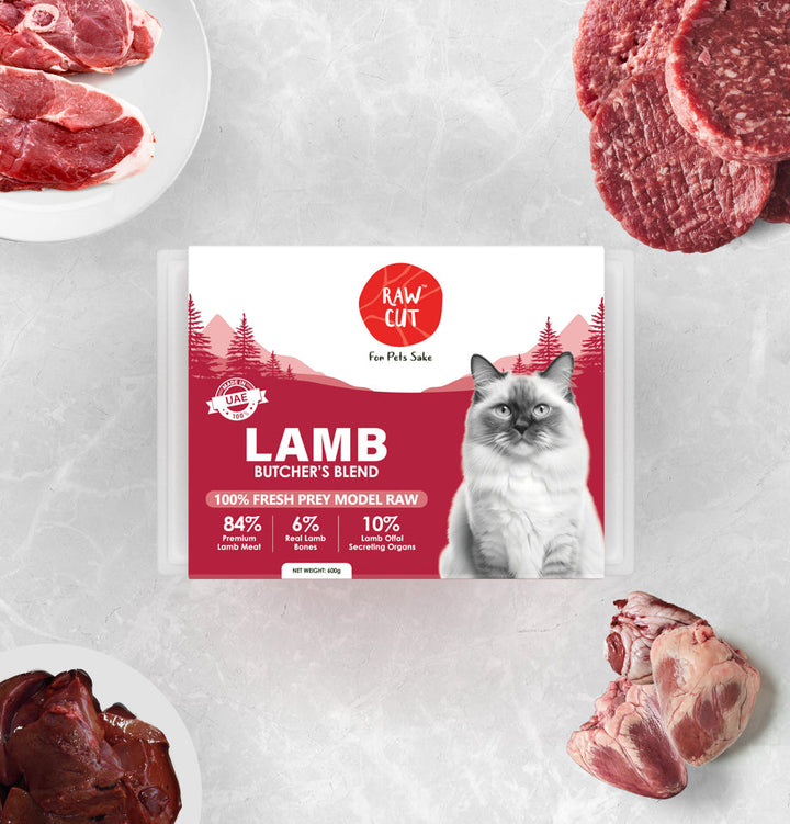 Lamb Prey Model Cats-600g-2
