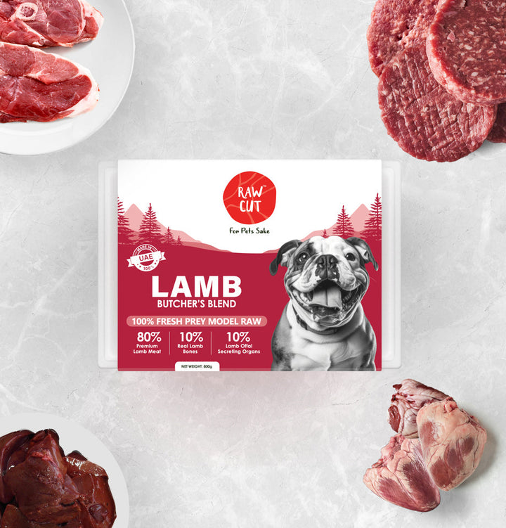  Lamb Prey Model Dogs-800g-2