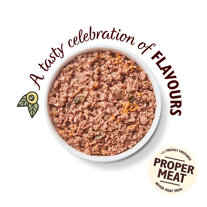 Lily's Kitchen Carnival Chicken Canned Dog Wet Food-3
