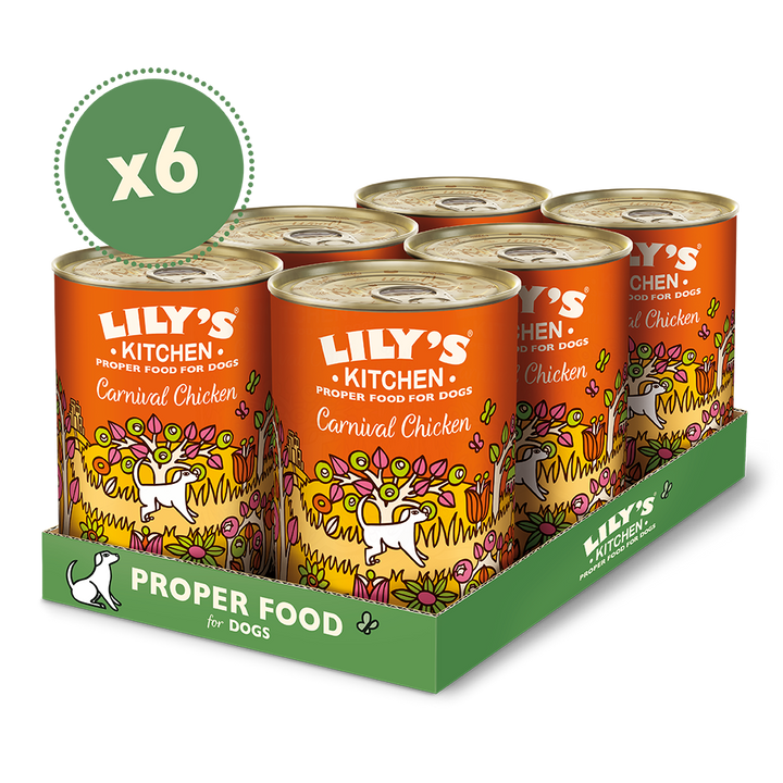 Lily's Kitchen Carnival Chicken Canned Dog Wet Food-4