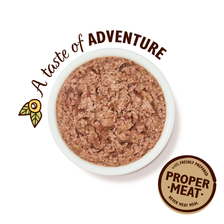 Lily's Kitchen Chicken & Game Pate Wet Cat Food - 2