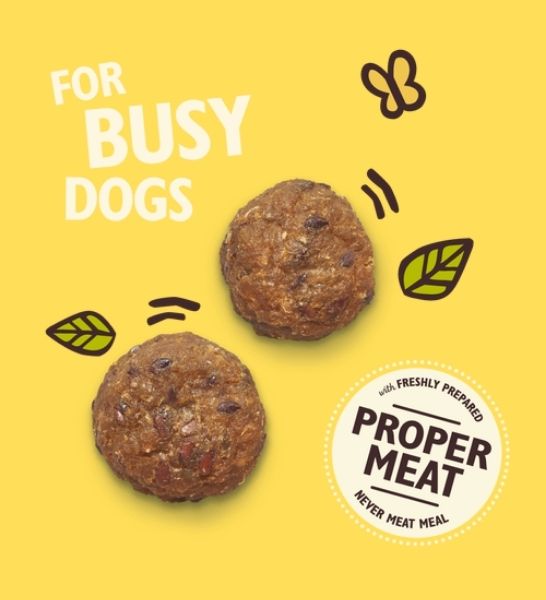 Lily's Kitchen Chicken Protein Bites for Dogs 40G - 2