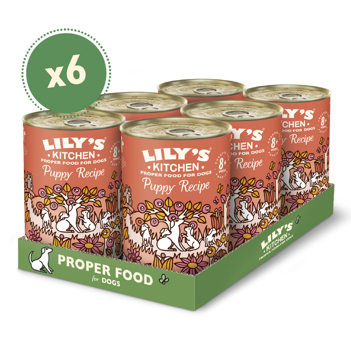 Lily's Kitchen Chicken Recipe Puppy Food-4