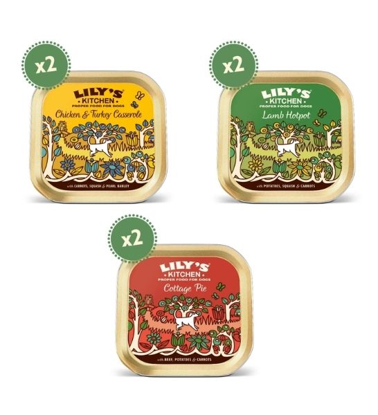 Lily's Kitchen Classic Multipack-2