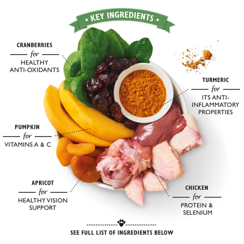 Lily's Kitchen Coronation Chicken Wet Dog Food-2