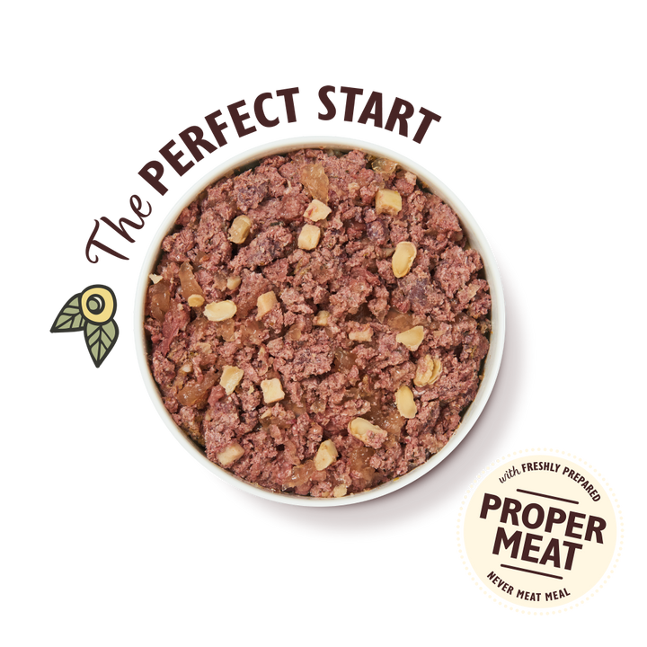 Lily's Kitchen Great British Breakfast Wet Dog Food-3