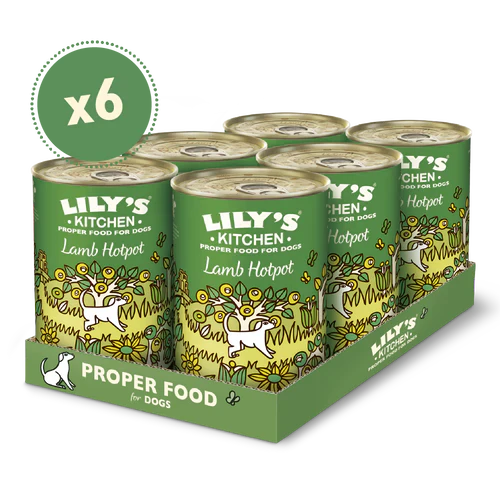Lily's Kitchen Lamb Hotpot Wet Dog Food-1