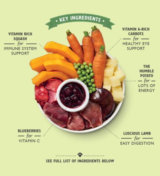 Lily's Kitchen Lamb Hotpot Wet Dog Food-3