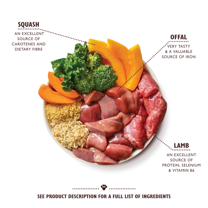 Lily's Kitchen Lamb Tagine Canned Dog Wet Food-2