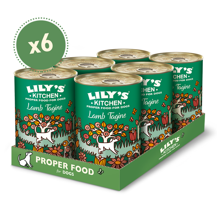 Lily's Kitchen Lamb Tagine Canned Dog Wet Food-3