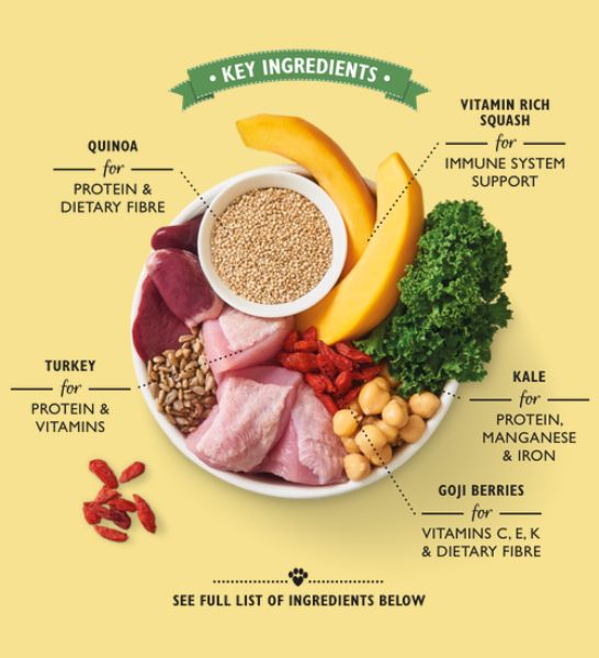 Lily's Kitchen Lean Machine Wet Dog Food-2