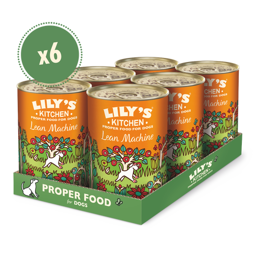 Lily's Kitchen Lean Machine Wet Dog Food-3