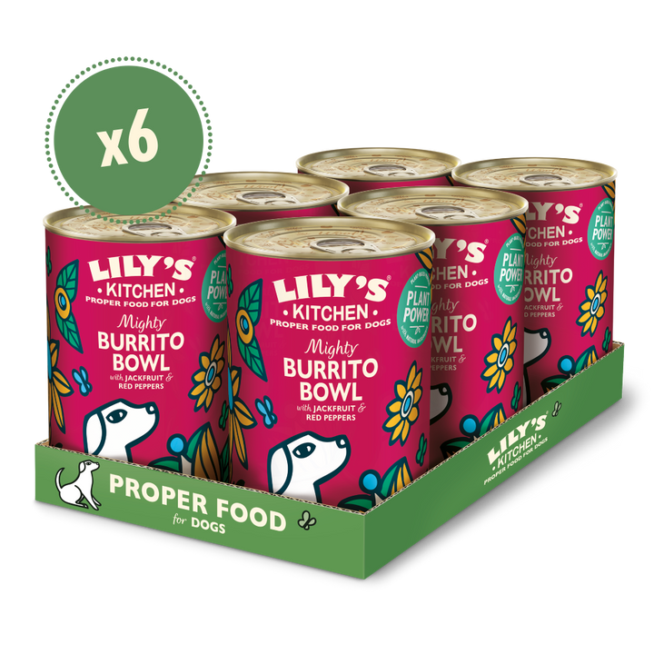 Lily's Kitchen Mighty Burrito Bowl Canned Adult Wet Dog Food-4
