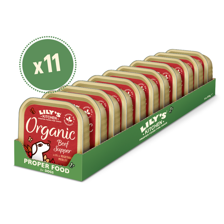 Lily's Kitchen Organic Beef Supper Wet Dog Food-5