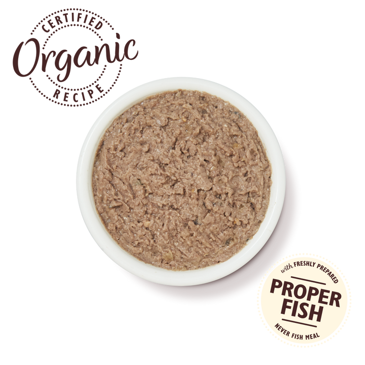 Lily's Kitchen Organic Fish Pate Wet Cat Food - 2