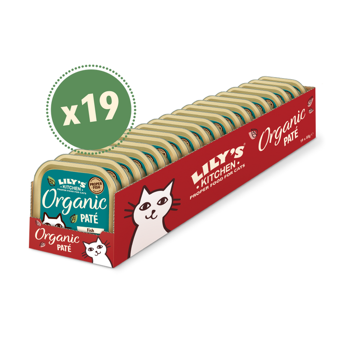 Lily's Kitchen Organic Fish Pate Wet Cat Food - 3