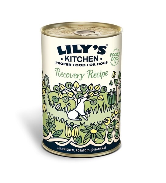 Lily's Kitchen Recovery Recipe Wet Dog Food-1