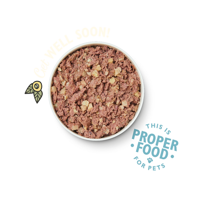 Lily's Kitchen Recovery Recipe Wet Dog Food-2