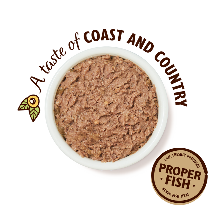 Lily's Kitchen Salmon With Chicken & Prawns Pate Wet Cat Food - 2