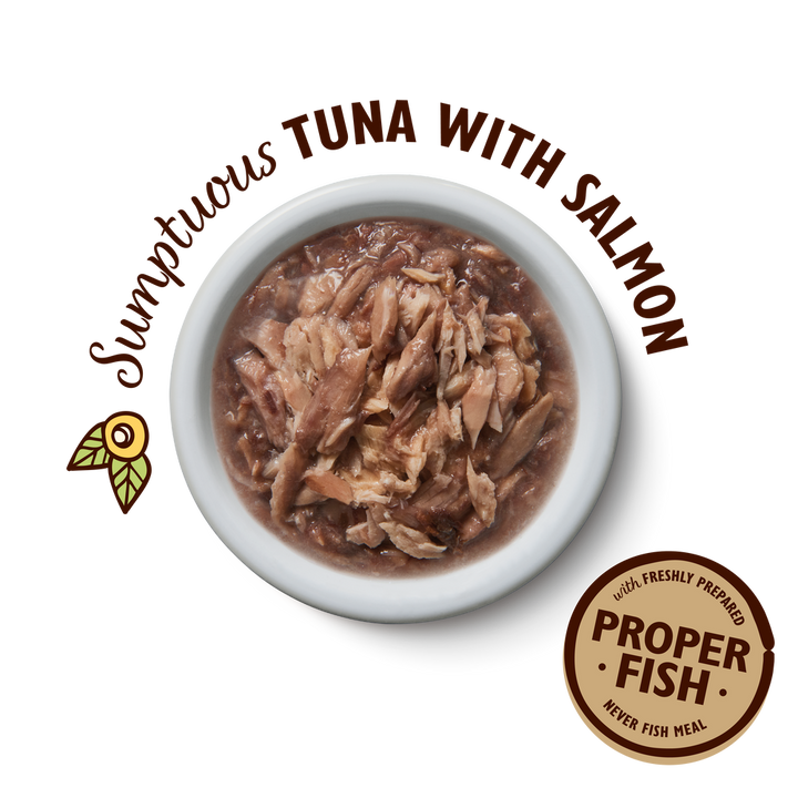 Lily's Kitchen Shredded Fillets Tuna & Salmon In Broth Wet Cat Food - 2