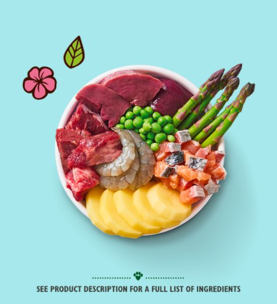 Lily's Kitchen Surf & Turf Beef with Salmon & Prawns Wet Dog Food-2