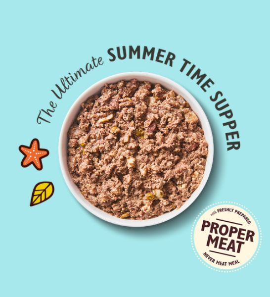 Lily's Kitchen Surf & Turf Beef with Salmon & Prawns Wet Dog Food-3