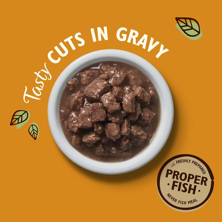 Lily's Kitchen Tasty Cuts Chicken & Ocean Fish Kitten Wet Food - 2