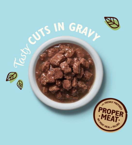 Lily's Kitchen Tasty Cuts Ocean Fish Wet Cat Food - 2