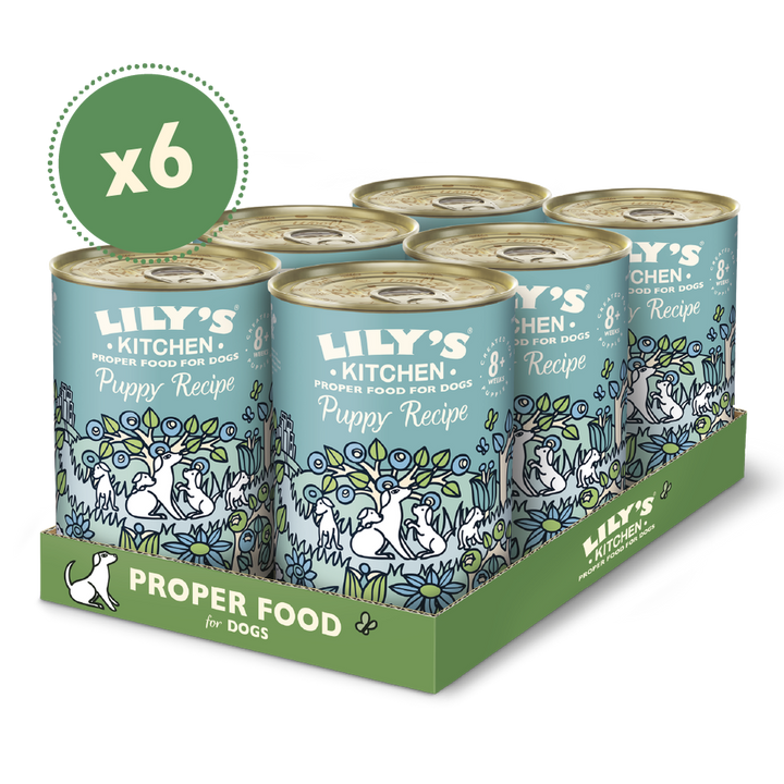 Lily's Kitchen Turkey & Duck Puppy Recipe Canned Dog Wet Food-4