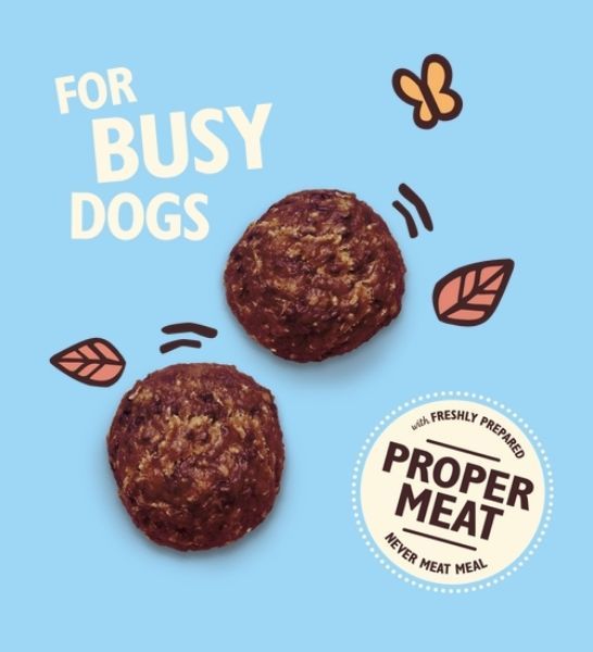 Lily's Kitchen Turkey & Whitefish Protein Bites for Dogs 40G - 2