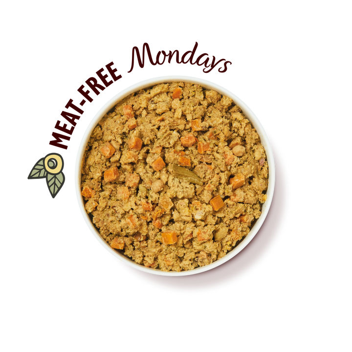 Lily's Kitchen Wholesome Veggie Feast Wet Dog Food-3