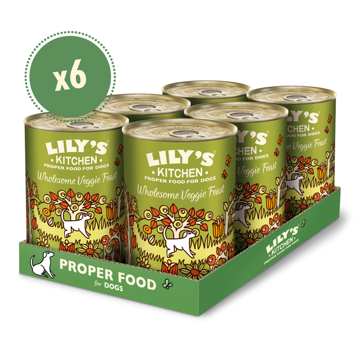 Lily's Kitchen Wholesome Veggie Feast Wet Dog Food-4