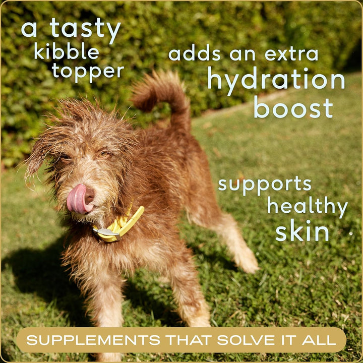 Native Pet Bone Broth for Dogs and Cats-2