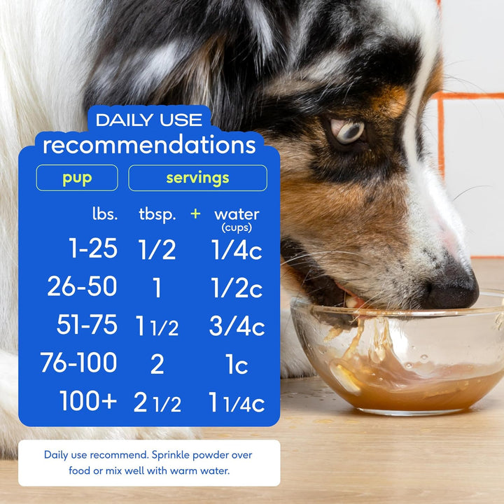 Native Pet Bone Broth for Dogs and Cats-4