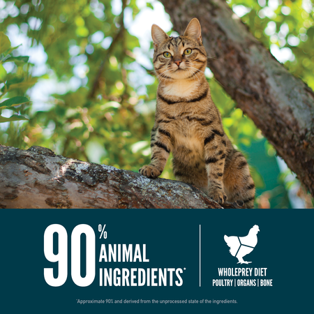 Orijen Guardian 8 - Nutrient-Rich Cat Dry Food-5