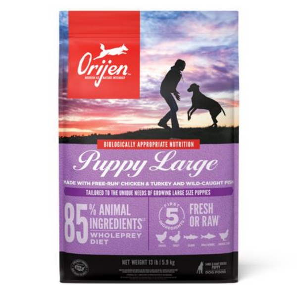 Orijen Large Breed Puppy Protein-Rich Dog Dry Food-1