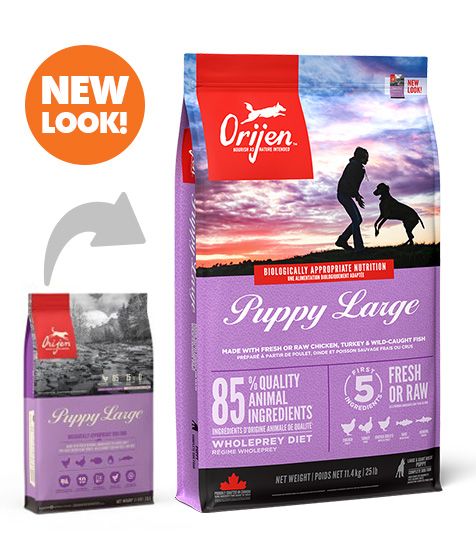 Orijen Large Breed Puppy Protein-Rich Dog Dry Food-11