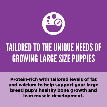 Orijen Large Breed Puppy Protein-Rich Dog Dry Food-4