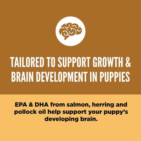 Orijen Puppy All Breed Protein-Rich Dry Dog Food-4