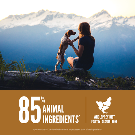 Orijen Puppy All Breed Protein-Rich Dry Dog Food-6
