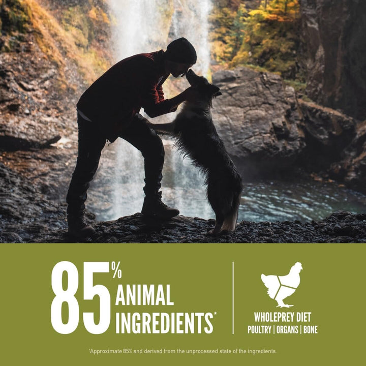 Orijen Senior Protein-Rich Dog Dry Food-5