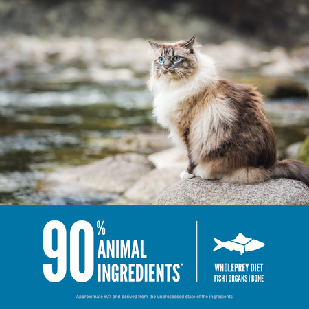 Orijen Six Fish Formula Protein-Rich Grain Free Diet Cat Dry Food-5