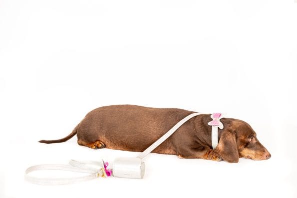 PEARL LEATHER LEASH-3