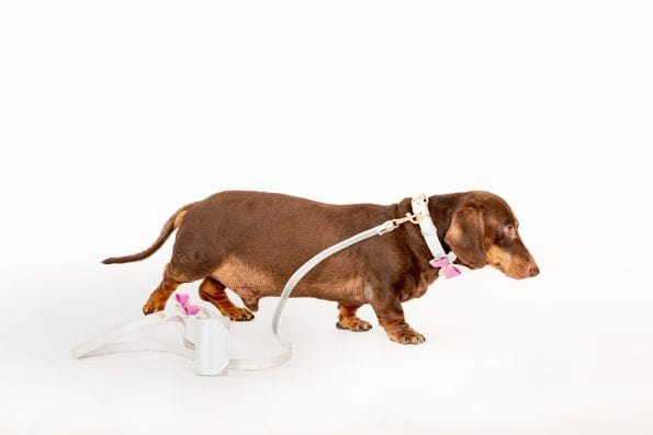 PEARL LEATHER LEASH-4