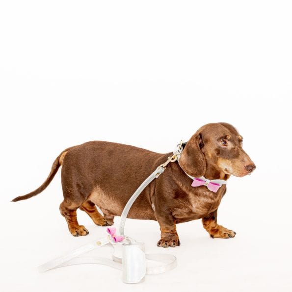 PEARL LEATHER POOP BAG POUCH-2